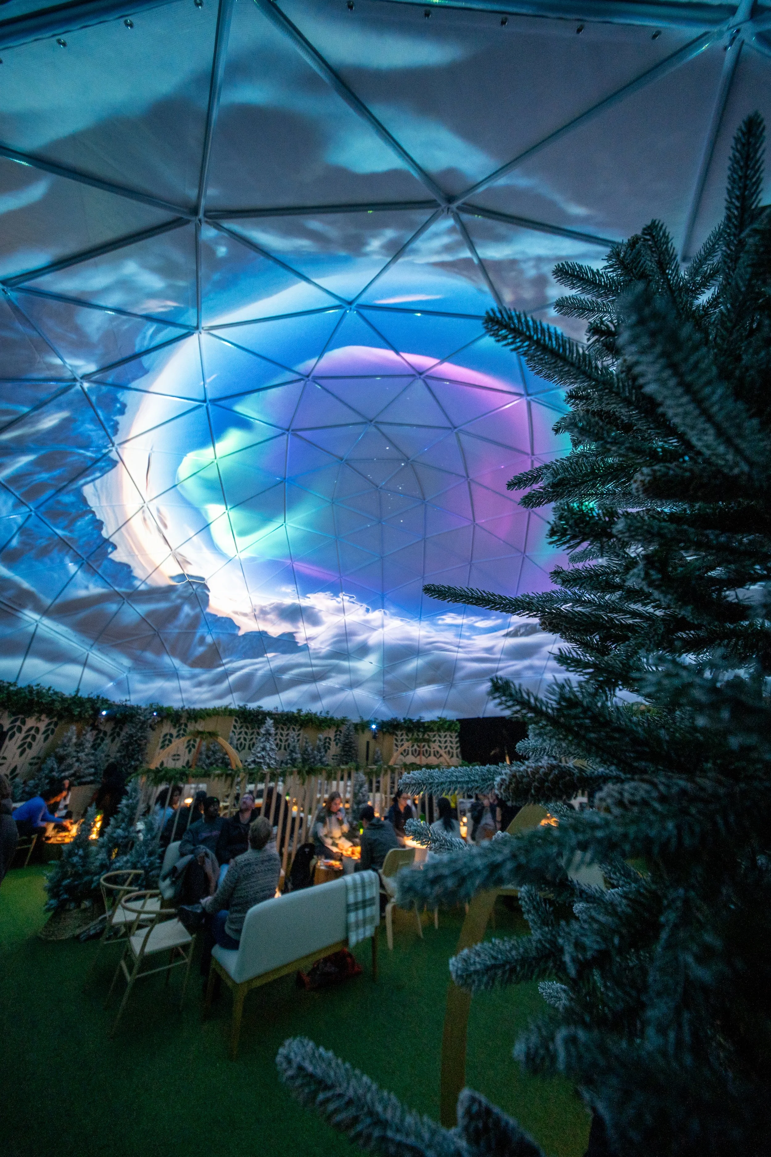 The Dome DC - Snowglow 2025 — Hi-Lawn
